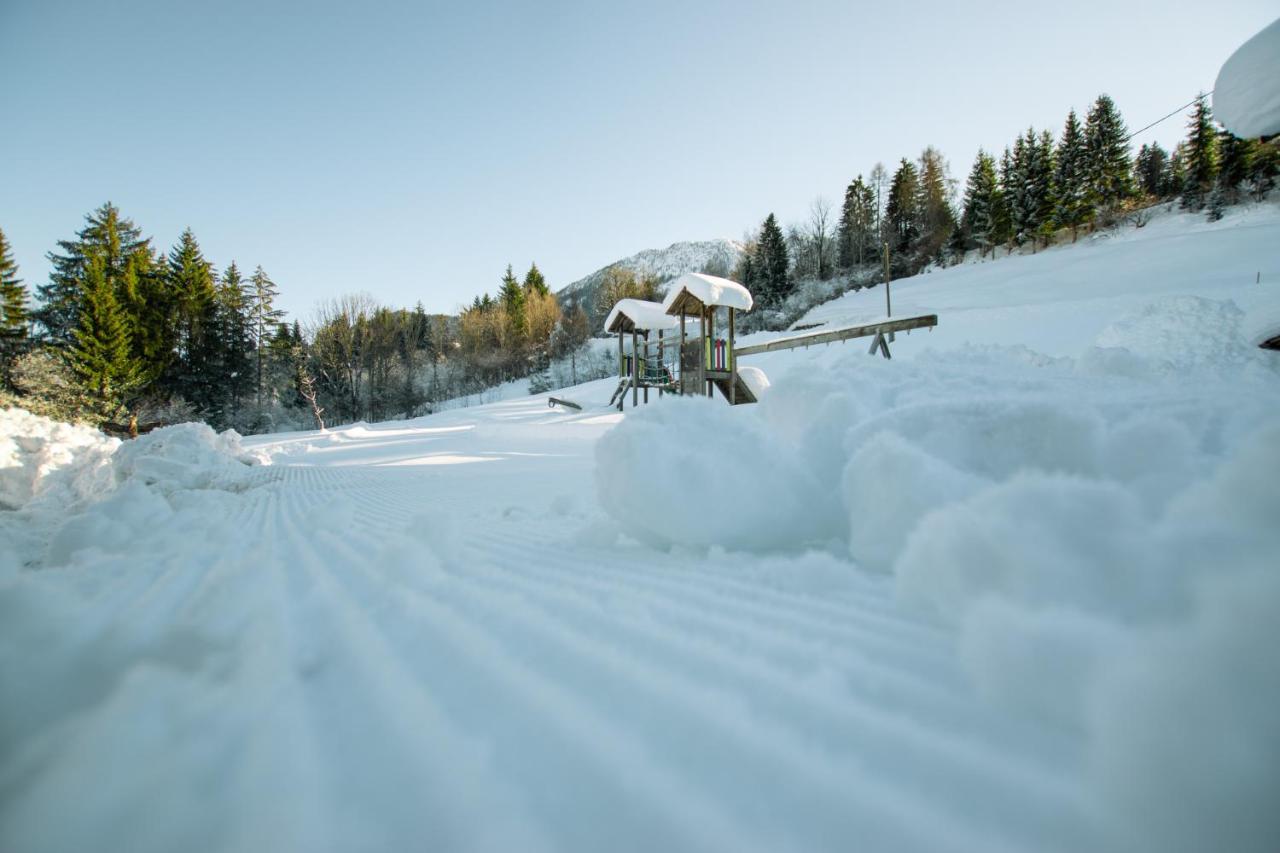 Chalets Und Apartments Hauserhof Nassfeld Schlanitzen Kültér fotó